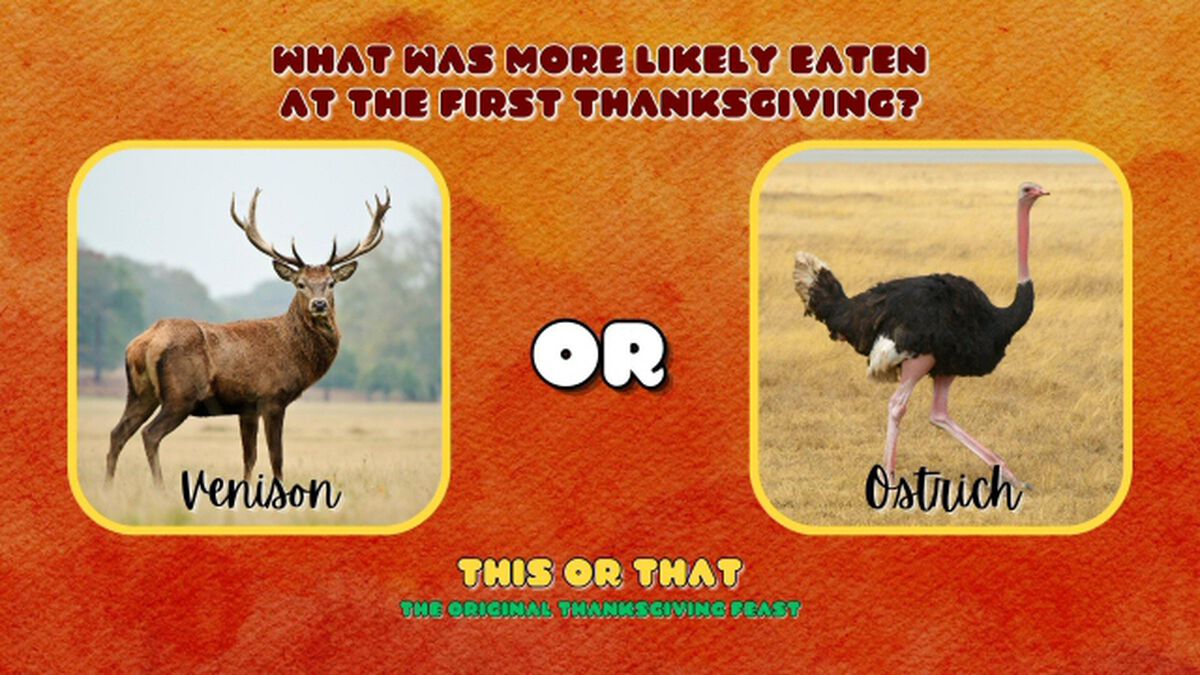 This or That: The Original Thanksgiving Feast image number null